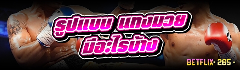 รูปแบบ แทงมวย มีอะไรบ้าง